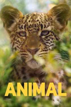 Animal-full