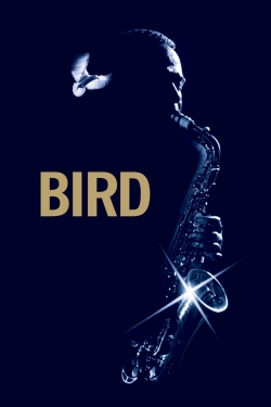 Bird-full