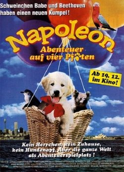 Napoleon-full