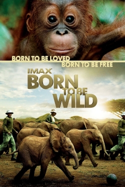 Born to Be Wild-full