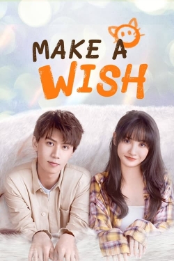 Make a Wish-full