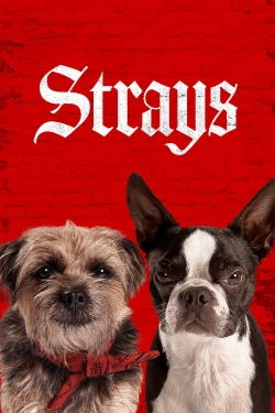 Strays-full