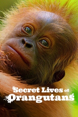 Secret Lives of Orangutans-full