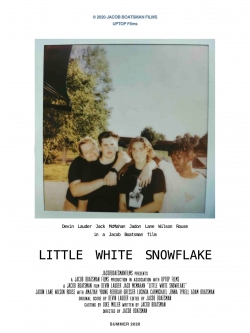 Little White Snowflake-full