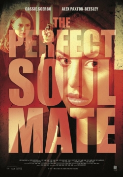 The Perfect Soulmate-full